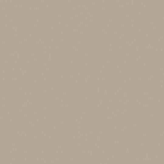 Otter Swatch 3202