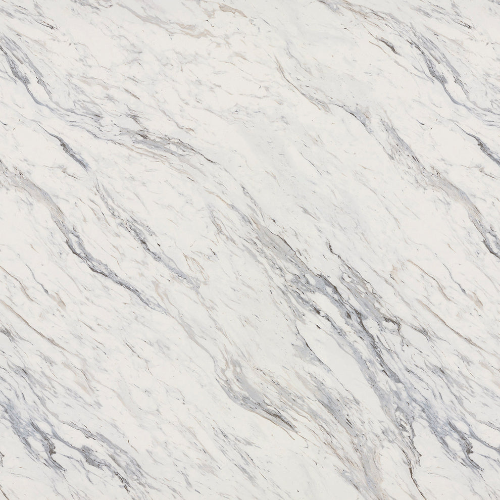 CALCUTTA MARBLE 4925 - RALPH WILSON
