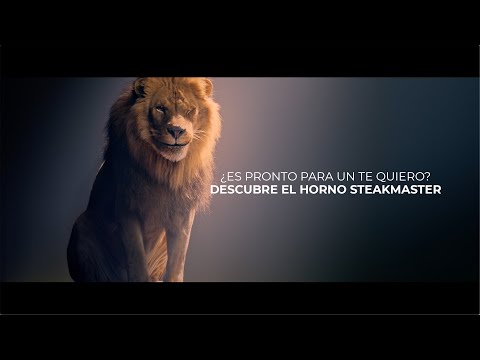 horno teka steakmaster bk ss