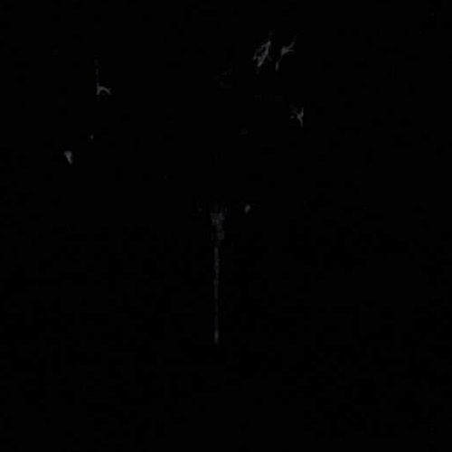 Negro Basic 3195-01 - Cubimas