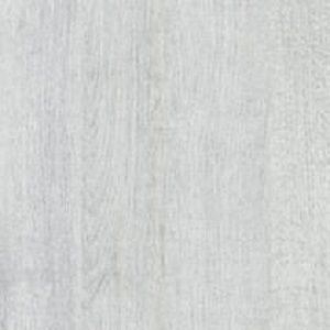 Silver Oak Trendy Wt-4042-N