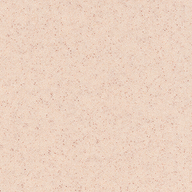 Snail Montelli - Cubimas